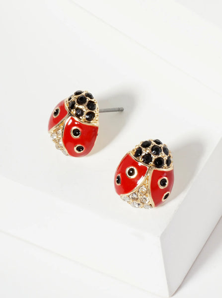 Ladybug Studs