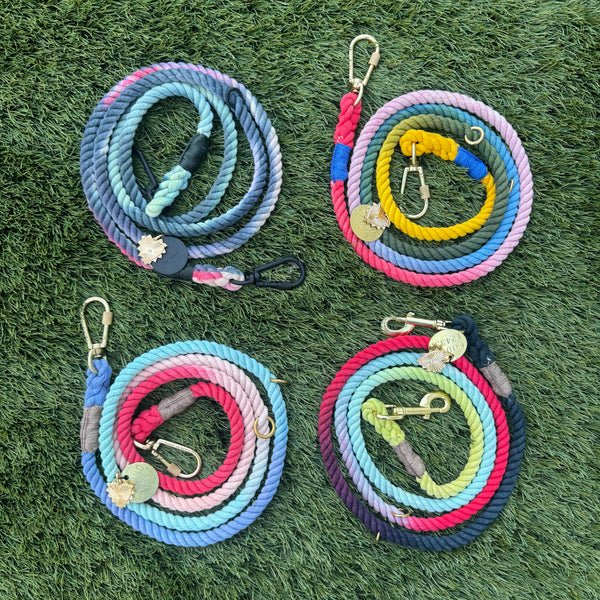 Dog Leashes