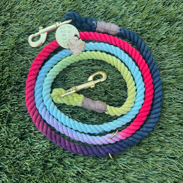 Dog Leashes