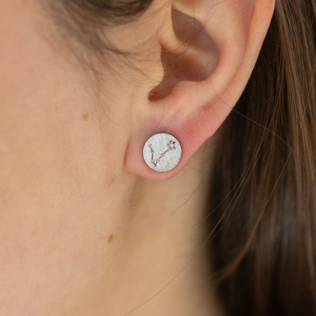 Pisces Constellation Studs