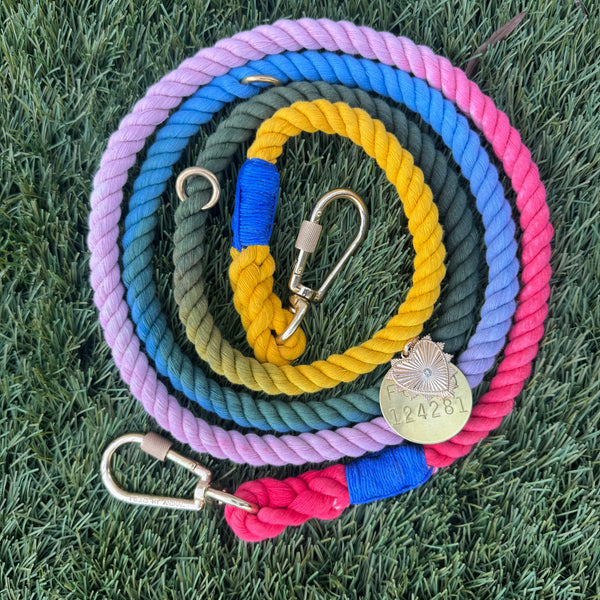 Dog Leashes