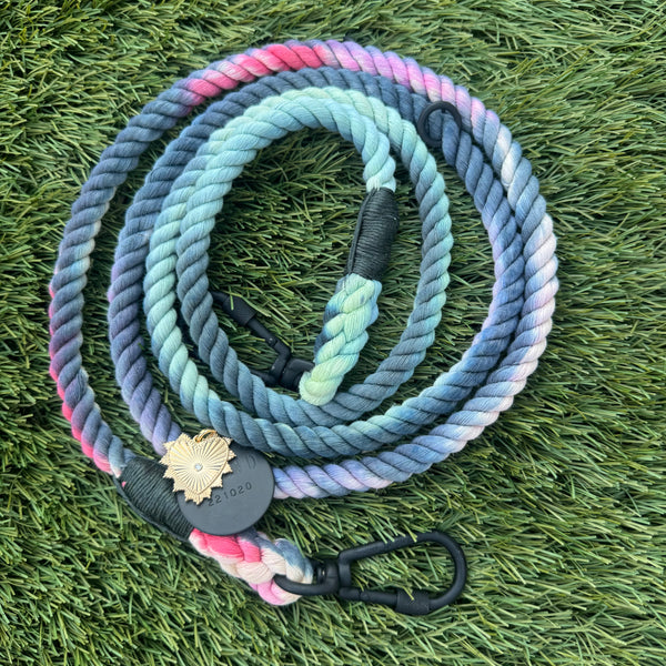 Dog Leashes