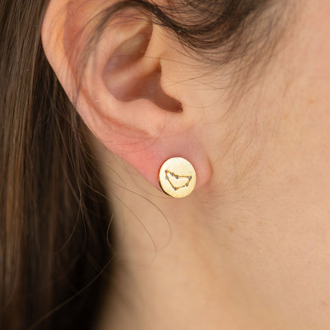 Capricorn Astrology Studs