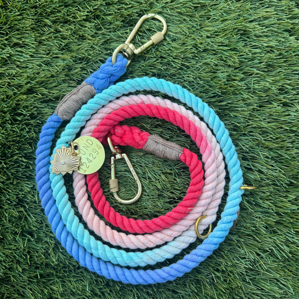 Dog Leashes