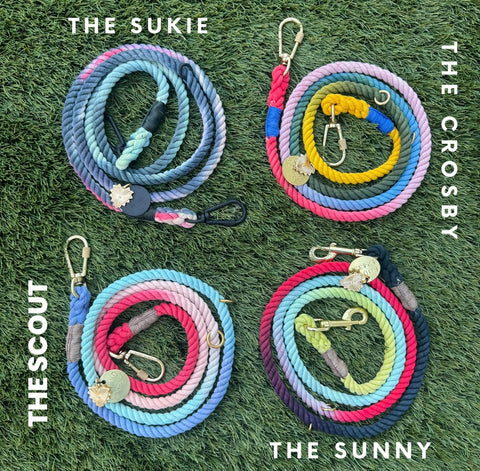 Picture of four different dog leashes. One is called The Sukie and is ombre blues and pink. Next is The Crosby which is dark pink fading to light pink, blue, green and finally yellow. New is The Scout which is blue fading to light blue, light pink and o dark pink. Last is The Sunny which is dark navy blue fading to dark pink to light blue to light green.